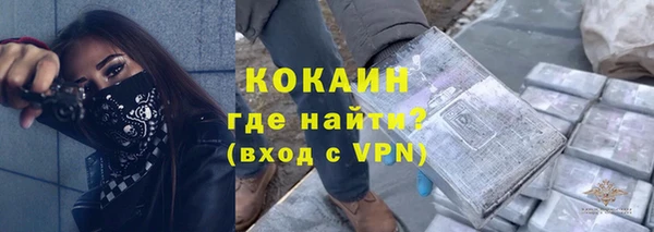 шишки Балахна