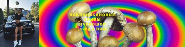 стафф Балабаново
