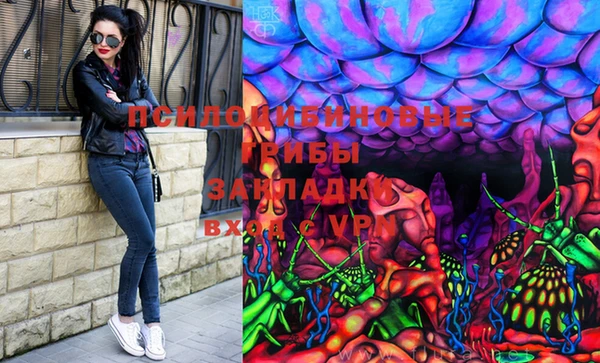 скорость Кукмор