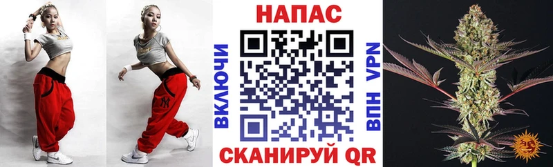 Конопля MAZAR  как найти   Валдай 